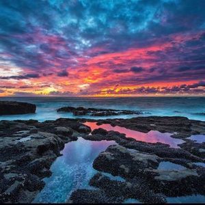 Meet your Posher, Carol